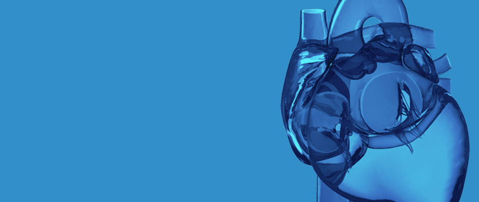 ¿Qué es una parada cardiaca súbita? ¿Qué es una parada cardiaca súbita?